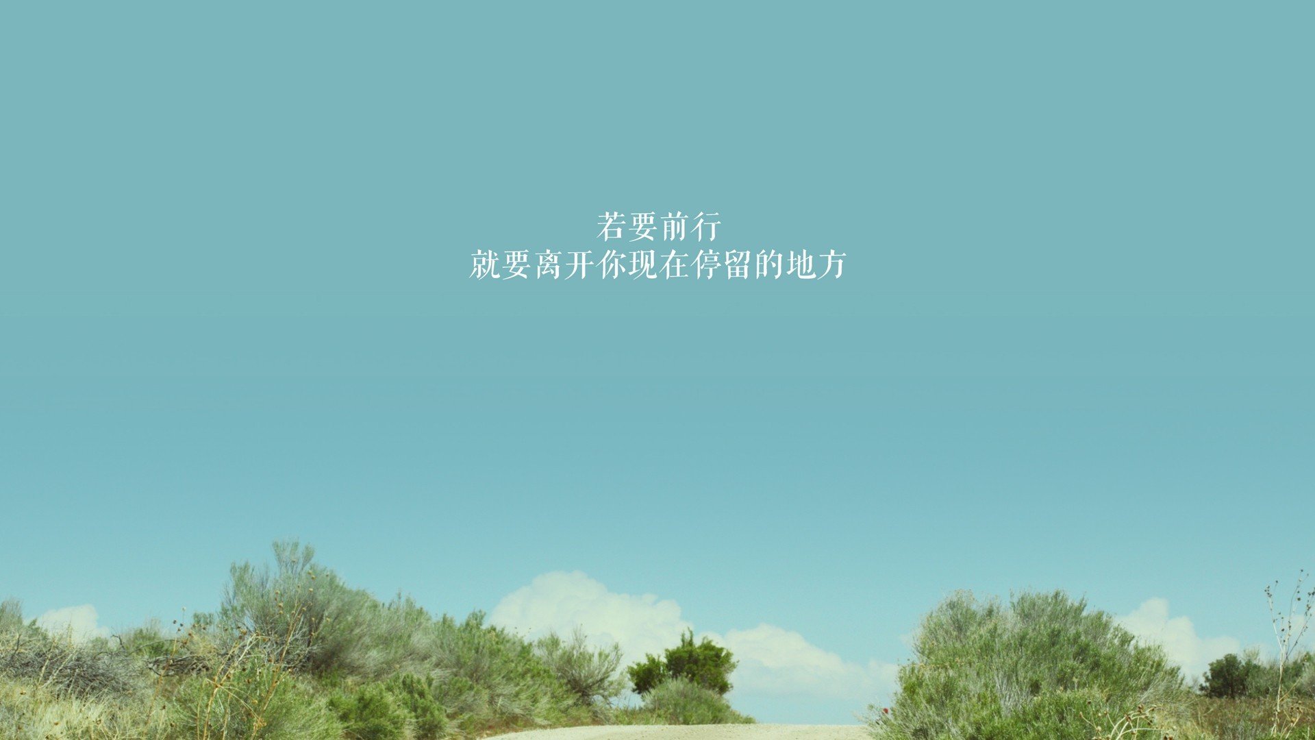 车坛传奇：那些永不褪色的荣耀，车坛奇闻