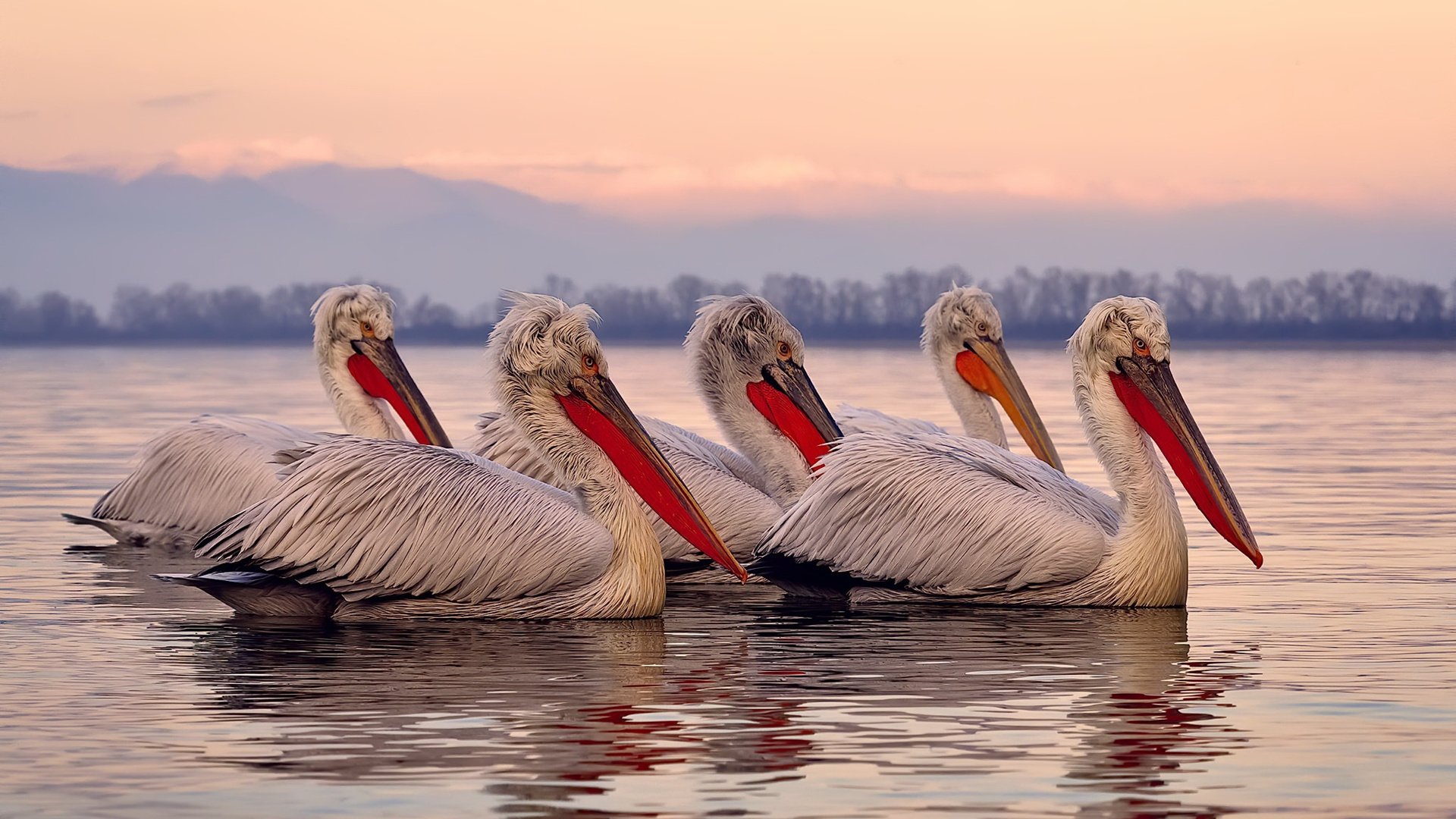 大型体育场馆资源对接与公益服务机制建设，大型体育场馆服务品质提升