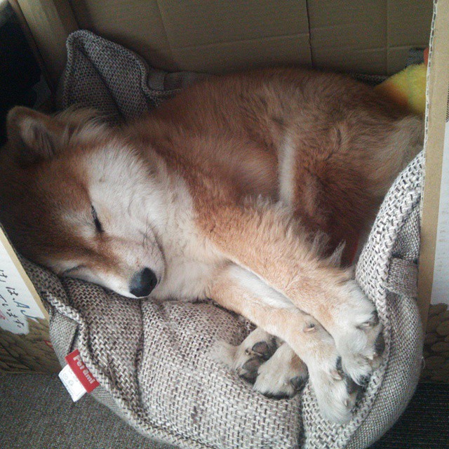 篮球专项体能训练技术创新研究，篮球专项体能训练方案