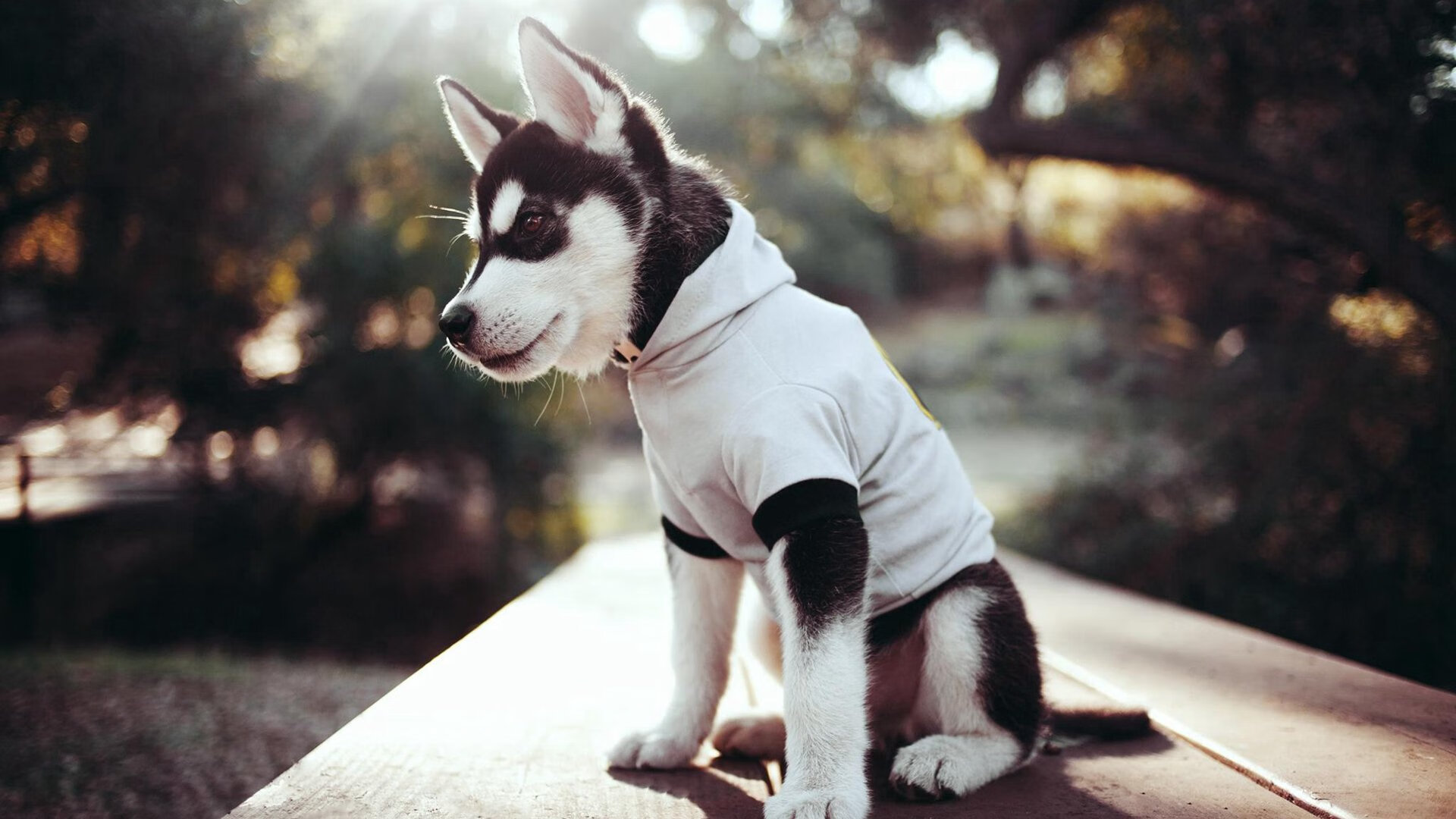 英超青训体系心理压力管理提升年轻球员稳定表现,英超球员训练时间