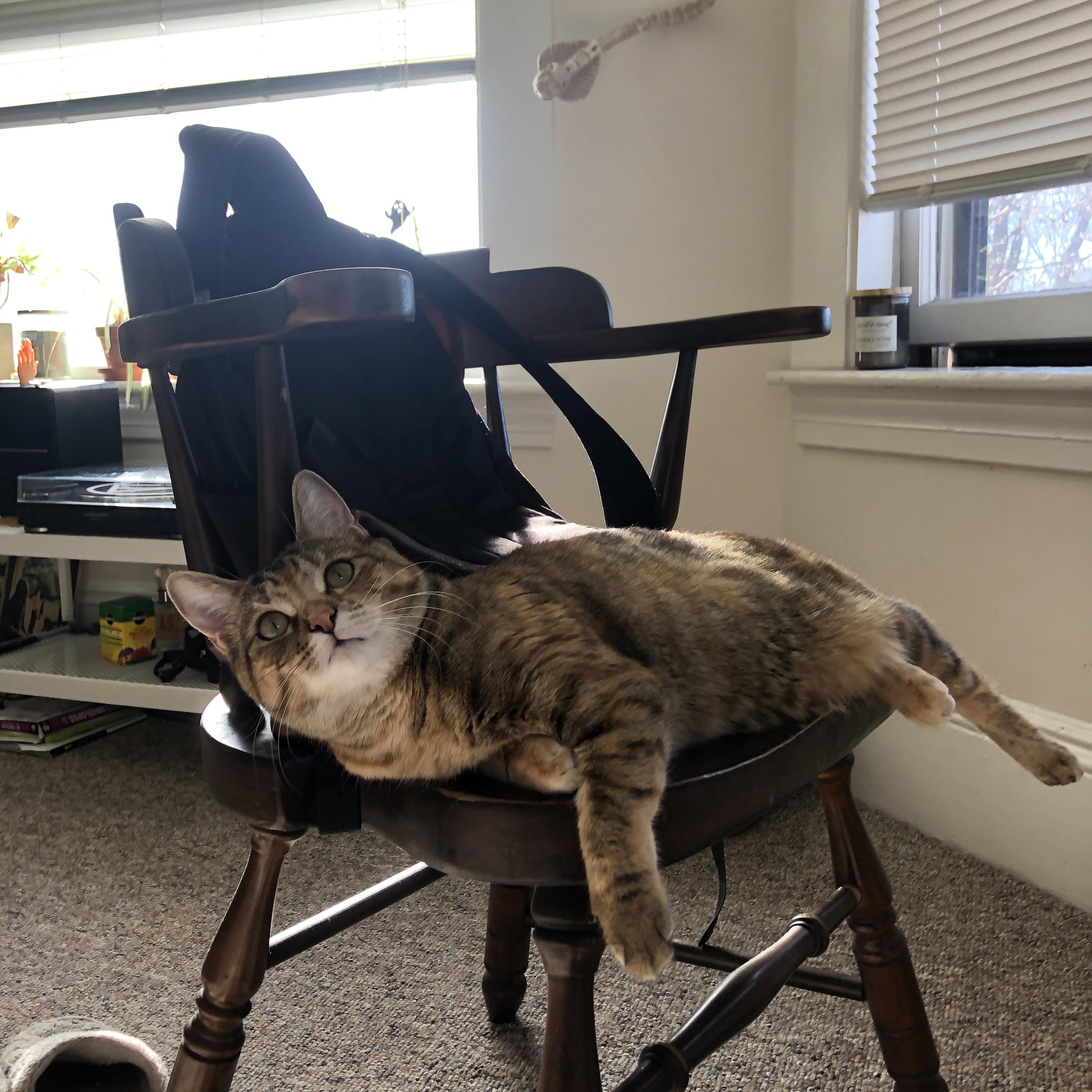 国家队比赛节奏适应力持续低迷